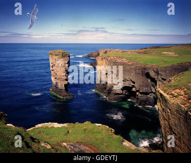 GB - Scozia: costa a Yesnaby sulla terraferma Orkney Foto Stock