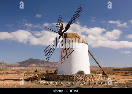 Mulino a vento vicino a Antigua, Fuerteventura, Isole Canarie, Spagna, Europa Foto Stock