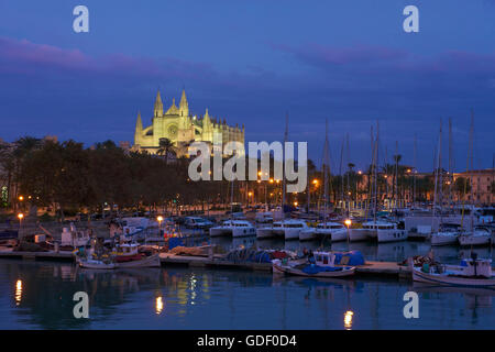 Cattedrale La Seu, Palma de Mallorca, Maiorca, Baleari, Spagna Foto Stock