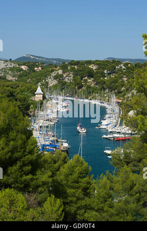 Marina, Calanque de Porto Miou, Cote d Azur, Francia Foto Stock