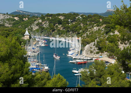 Marina, Calanque de Porto Miou, Cote d Azur, Francia Foto Stock