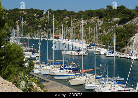 Marina, Calanque de Porto Miou, Cote d Azur, Francia Foto Stock