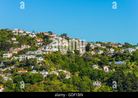 Case colorate di Wellington, in Nuova Zelanda. Wellington è la capitale e il secondo più popoloso area urbana di Nuova Zelanda. Foto Stock