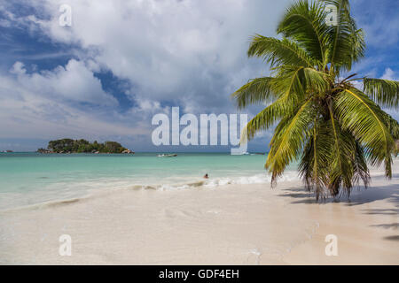 Spiaggia di Anse Volbert, Praslin, Seicelle Foto Stock