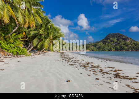 Spiaggia di Anse Volbert, Praslin, Seicelle Foto Stock