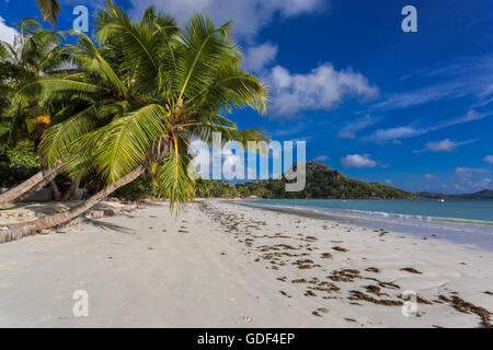 Spiaggia di Anse Volbert, Praslin, Seicelle Foto Stock