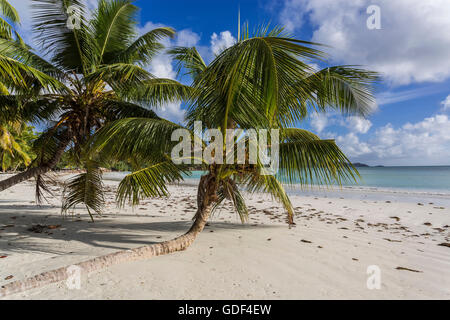 Spiaggia di Anse Volbert, Praslin, Seicelle Foto Stock