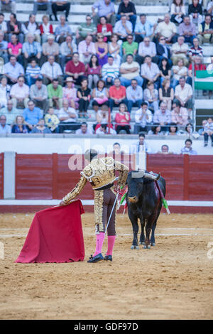 Torero El Fundi corrida con la stampella nella corrida di Pozoblanco, Spagna Foto Stock