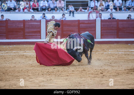 Torero El Fundi corrida con la stampella nella corrida di Pozoblanco, Spagna Foto Stock