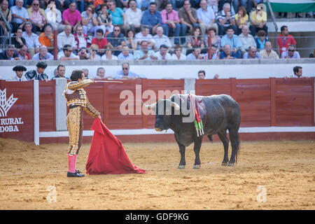 Pozoblanco, Spagna - 24 Settembre 2010: Il torero spagnolo El Fundi preparando ad entrare di uccidere il toro nella corrida di Foto Stock