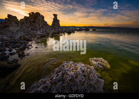 Torri di tufo di carbonato di calcio sulle guglie della foresta di Inyo Mono Lake in California, Stati Uniti d'America Foto Stock