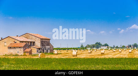 Round balle di fieno in un campo di raccolta in prossimità di una casa colonica, rurale e atmosfera bucolica di un caldo giorno d'estate Foto Stock