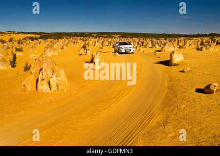 La via che conduce attraverso il Deserto dei Pinnacoli in Nambung National Park. Foto Stock