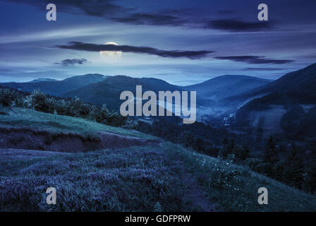 Composito paesaggio di montagna. fiori sul prato di collina vicino villaggio nella nebbia di foreste di montagna di notte nella luce della luna piena Foto Stock