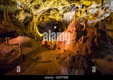 Hall di Ursus spelaeus in una caverna nel Nord-ovest le montagne rumeno distretto bihor transilvania Foto Stock