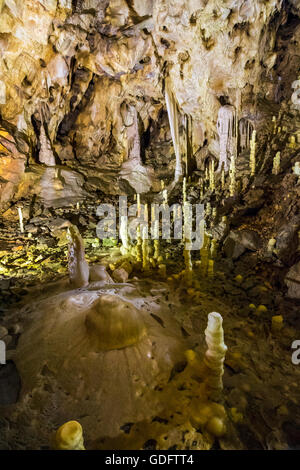 Hall di Ursus spelaeus in una caverna nel Nord-ovest le montagne rumeno distretto bihor transilvania Foto Stock