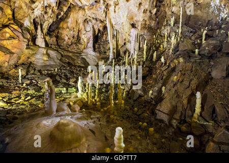 Hall di Ursus spelaeus in una caverna nel Nord-ovest le montagne rumeno distretto bihor transilvania Foto Stock