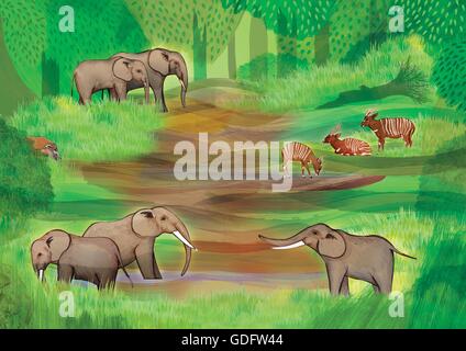 Illustrazione di un habitat Bai nella Repubblica democratica del Congo Foto Stock