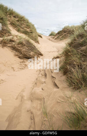 Le dune di sabbia a Formby punto, Merseyside. Foto Stock