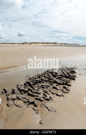 Banca di fango sulla spiaggia a Formby punto, Merseyside, nord-ovest Inghilterra. Foto Stock