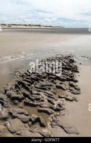 Banca di fango sulla spiaggia a Formby punto, Merseyside, nord-ovest Inghilterra. Foto Stock