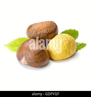 Le castagne su bianco Foto Stock