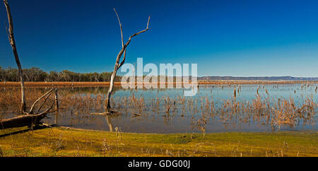 Vista panoramica di vaste acque blu del lago Nuga Nuga con robusto Carnarvon varia sull orizzonte sotto il cielo blu in outback Australia Foto Stock