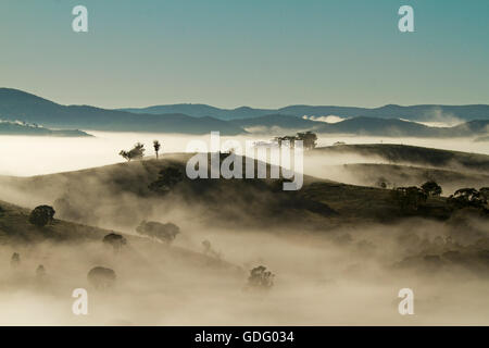 Fitta coltre di nebbia di mattina che copre le valli, con picchi di colline e gli alberi infilzare attraverso l'oceano di bianco sotto il cielo blu in una grande gamma di divisione Foto Stock