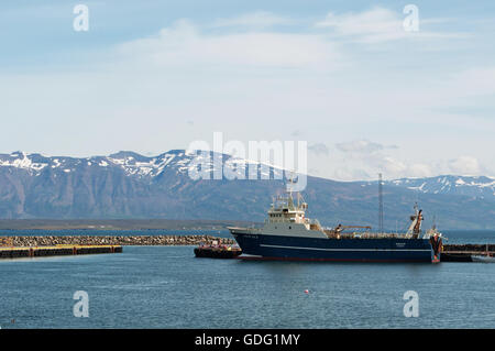 Islanda: una grande barca da pesca nel fiordo di Akureyri, capitale del nord a capo di un lungo fiordo circondato da alte montagne Foto Stock