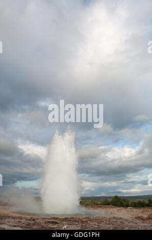 L'Islanda: l eruzione del grande Geyser, nella zona di Geysir, casa del famoso geyser, un periodicamente schizzando primavera calda nel sud-ovest dell'Islanda Foto Stock