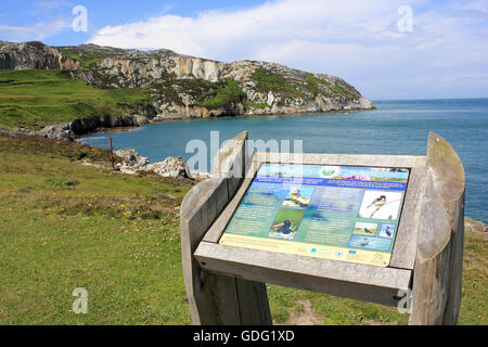 Costa rocciosa di Anglesey frangiflutti del Country Park Foto Stock