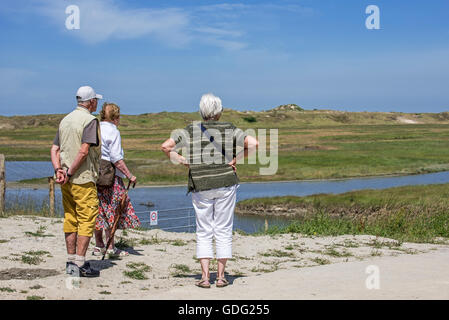 Visitatori anziani guardando sopra saltmarsh nel Parco Naturale Zwin, il santuario degli uccelli in Knokke-Heist, Fiandre Occidentali, Belgio Foto Stock