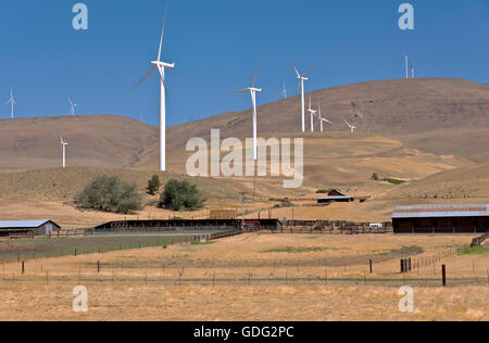 L'energia eolica generata da grandi lame la filatura su una collina nello stato di Washington. Foto Stock