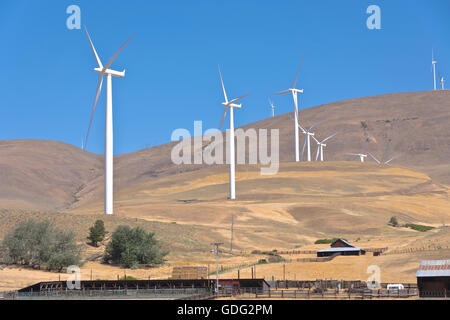 L'energia eolica generata da grandi lame la filatura su una collina nello stato di Washington. Foto Stock