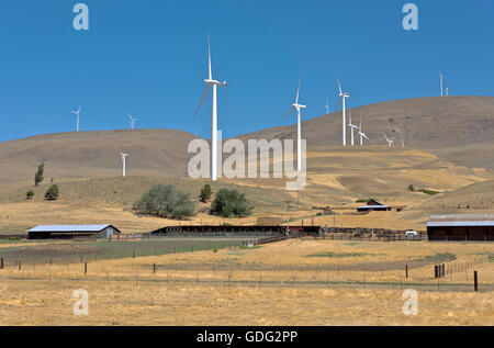 L'energia eolica generata da grandi lame la filatura su una collina nello stato di Washington. Foto Stock