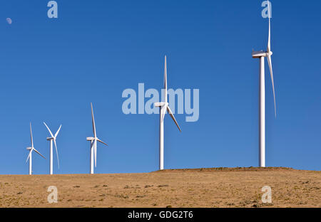 L'energia eolica generata da grandi lame la filatura su una collina in Oregon. Foto Stock