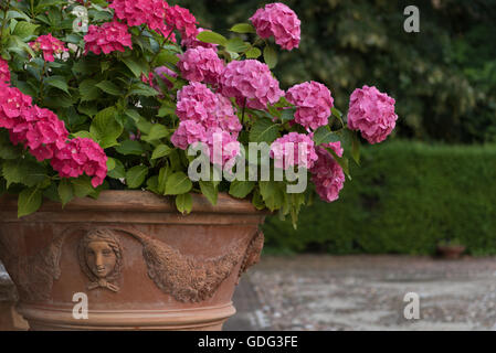 Bouquet di fiori colorati in un giardino nascosto in Ferrara Italia Foto Stock