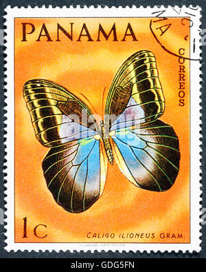 GROOTEBROEK ,I PAESI BASSI - MARZO 20,2016 : un timbro stampato in Panama mostra Butterfly, circa 1968 Foto Stock