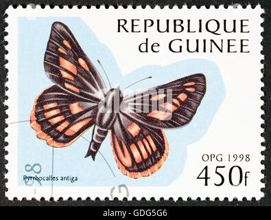 GROOTEBROEK ,I PAESI BASSI - MARZO 20,2016 : un timbro stampato da GUINEE, mostra butterfly, circa 1998 Foto Stock