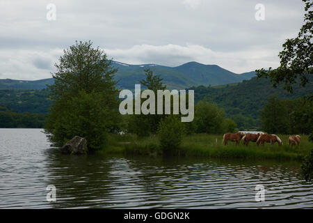 Lac Chambon al crepuscolo Foto Stock