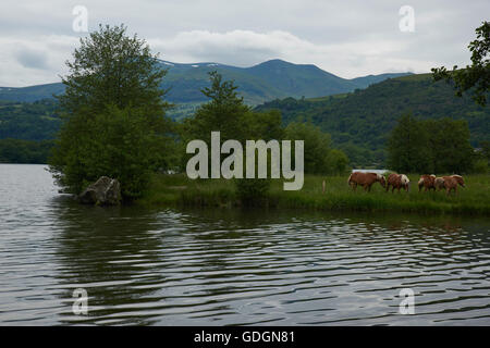 Lac Chambon al crepuscolo Foto Stock