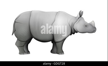 Il rinoceronte indiano (Rhinoceros unicornis). Foto Stock