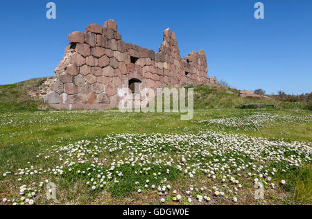 Vista di una fortezza in rovina nella Bomarsund, Aland. Un xix secolo fortezza costruita durante la Guerra di Crimea. Fiori questo lato. Foto Stock