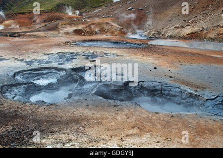 Islanda: Hverir, un area geotermica in Myvatn regione famosa per le sue fumarole e sorgenti calde e zolfo Foto Stock