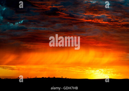 Spettacolare alba nel deserto australiano. Foto Stock