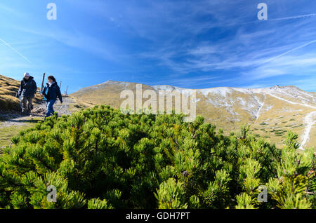 Puchberg am Schneeberg: Schneeberg con il vertice Klosterwappen (sinistra) e Fischerhütte ( a destra), mountain pine ( Pinus mugo ), Foto Stock