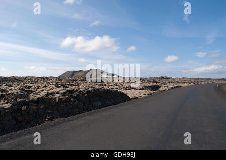 L'Islanda, l'Europa del nord: paesaggio islandese con campi di lava di rocce nere coperto con un tappeto verde di muschio nella penisola di Reykjanes Foto Stock