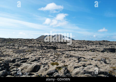 L'Islanda, l'Europa del nord: paesaggio islandese con campi di lava di rocce nere coperto con un tappeto verde di muschio nella penisola di Reykjanes Foto Stock