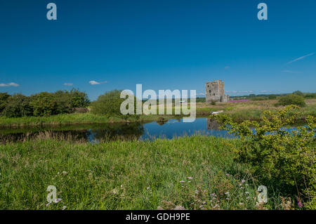 Castello Threave sull isola Threave con il fiume Dee nr Castle Douglas Dumfries & Galloway Scozia Scotland Foto Stock