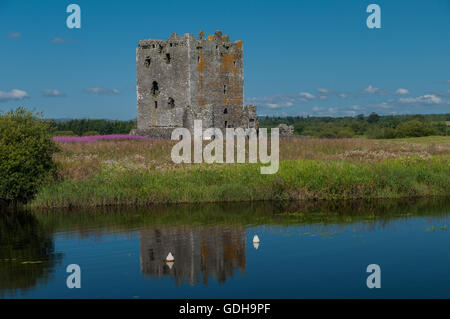 Castello Threave , a una massiccia torre trecentesca costruita da Archibald Grim, signore di Galloway su Threave isola con il fiume Dee nr Castle Douglas Dumfries & Galloway Scotland Regno Unito 07/2011 Foto Stock